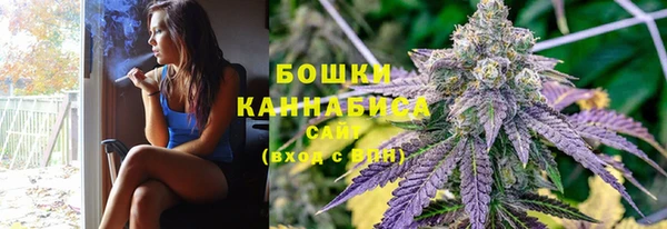 каннабис Арсеньев
